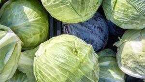 a close up of several green cabbages