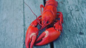 a red lobster on a wooden table top