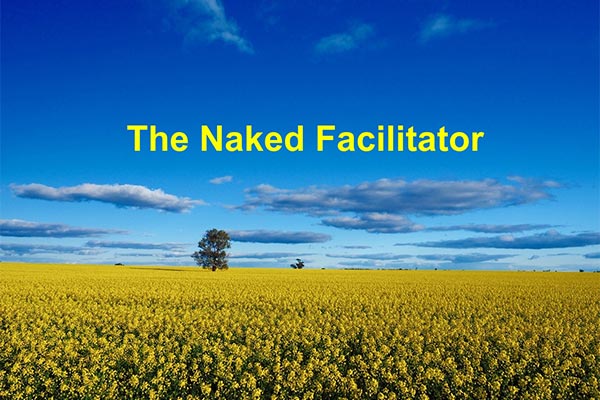 Naked Facilitator by Johnnie Moore