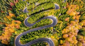 a curved pattern in nature